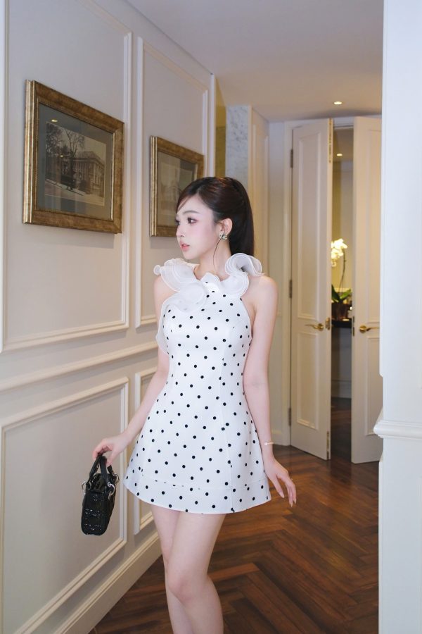 KD141 ảnh 2