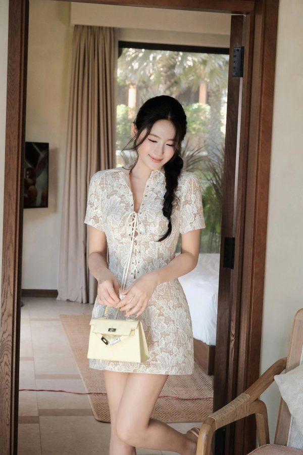 KD559 ảnh 2