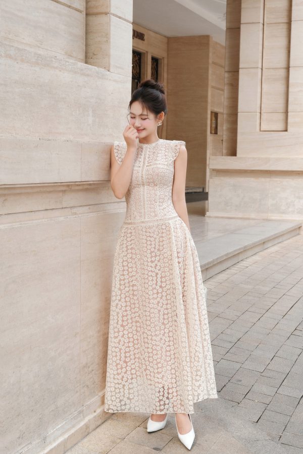 KD562 ảnh 1